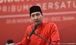 Bersatu Youth: Wan Fayhsal's 'cowardly' suspension violates democratic tenets