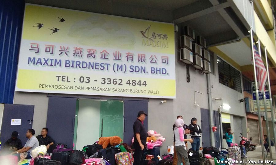 Kes kilang sarang burung ditetapkan 17 Ogos