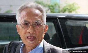 'Ahli ilmu kena tumpu isu pokok Melayu dulu baru dabik dada macam gorila'