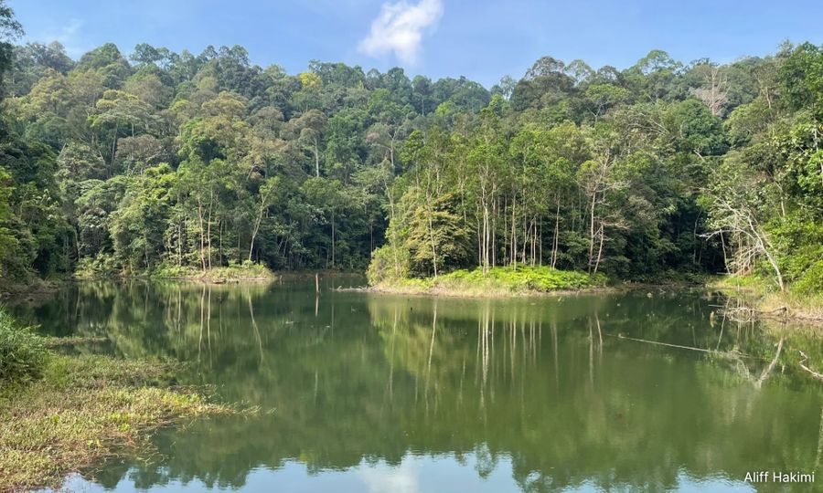 'Nearly 10,000 signatures collected against Ayer Hitam Forest Reserve development'