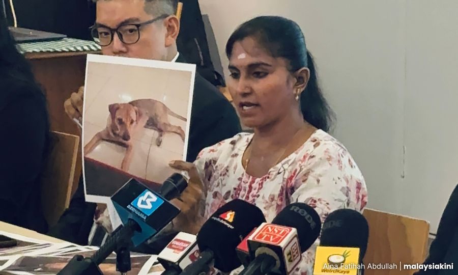 'Jiran beritahu mereka pukul Rocky sampai terberak' 