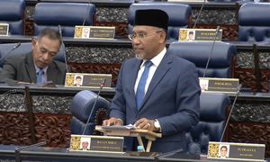 国盟议员投诉本地米不足，“难道补选时才会出现？”