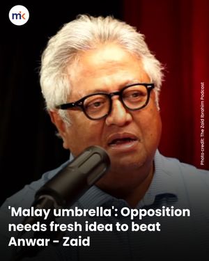 'Malay umbrella': Opposition needs fresh idea to beat Anwar - Zaid