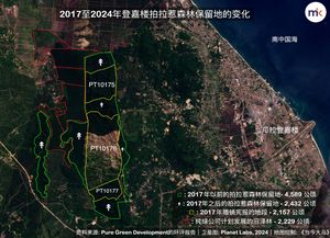 登油棕园计划遭驳回，环保协会欣慰环境局决定