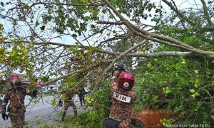 Dua terperangkap, kereta dihempap pokok di Alor Setar