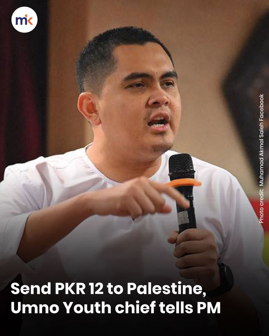 Send PKR 12 to Palestine, Umno Youth chief tells PM