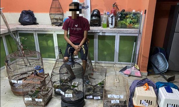 涉走私9万令吉野生动物，一男子遭逮捕