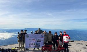 Vespa tawan puncak Gunung Kinabalu