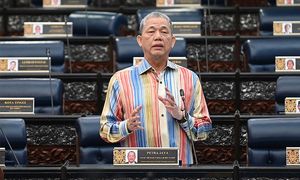 法迪拉月杪晤欧盟代表，将当面反对森林砍伐条例