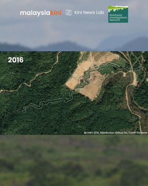 Timber grab: The truth behind Pahang oil palm plantations