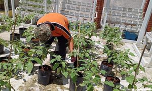 PM: K'jaan akan perkenal program pertanian bersasar di bandar