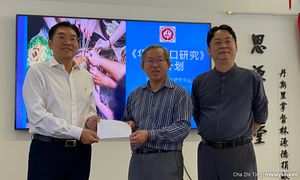 华裔出生率23年降60%，华研启动研究寻对策