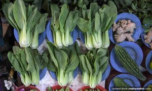 Veggie prices to soar due to unseasonal rain – report