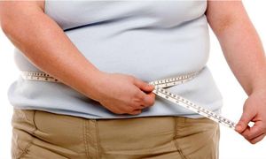 Lebih separuh orang dewasa Terengganu alami obesiti