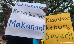 COMMENT | Is food security a joke in Perak?