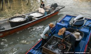 Kemasik fisherfolk question failed RM7m breakwater project