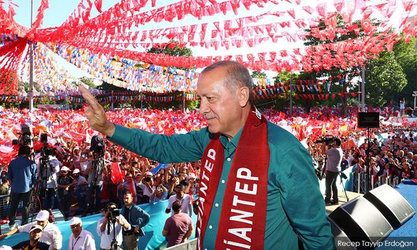 Erdogan reelected Turkiye president - supreme election council