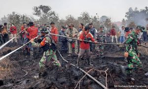 Indonesian deputy minister faces health issues after battling forest fires