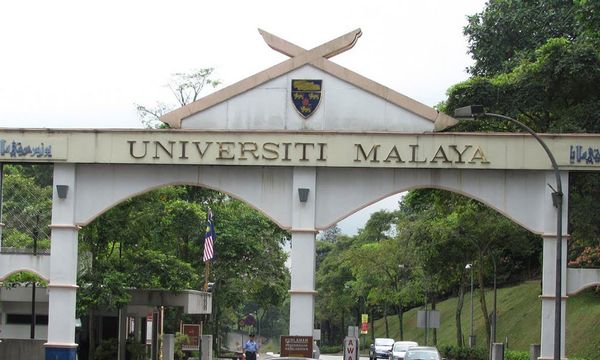 Selangor SPCA offers RM10k reward for info on UM dead cats