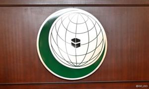 OIC slams Israeli attack on UN convoy to Gaza City