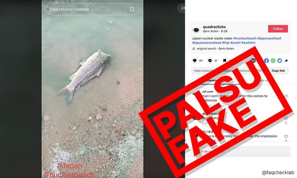 Fact-check: Video claiming fish dying from Fukushima discharge false