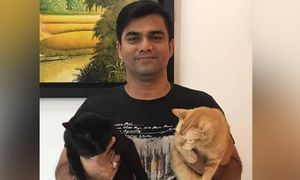 Cat carcasses at condo: Conduct thorough probe, NGO urges authorities
