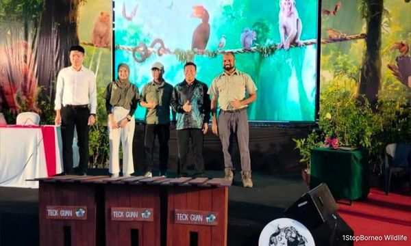 Figs and flowers: Wildlife corridor made in Tawau oil palm plantation
