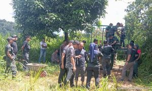 Perak, K'tan wildlife department set traps for tiger linked to 2 deaths