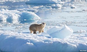 'More likely than not' world will soon see 1.5°C of warming - WMO