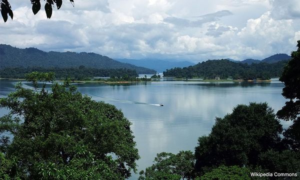 Kenyir Lake: Terengganu Forestry Dept temporarily halts logging work