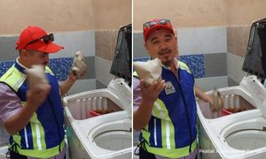Peniaga nasi 'tengah hari' sorok makanan dalam mesin basuh, tandas