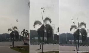 报告确认海军直升机相撞主因：Fennec机偏航