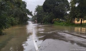More flood victims in T'ganu, Johor, status quo in K'tan, Pahang