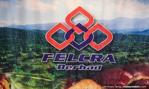 Felcra参与者获佳音，政府同意销债派红利1.8亿