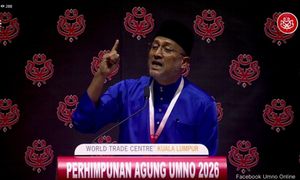 We'll work with PAS, not 'parti kucing' Wawasan, Umno delegate tells Zahid