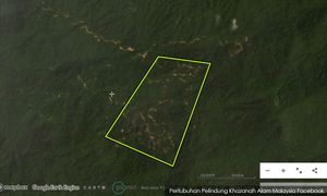 Jbt Perhutanan hentikan pembalakan dekat Tasik Kenyir