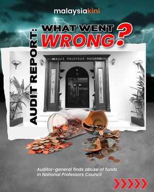 Audit Report: What Went Wrong?