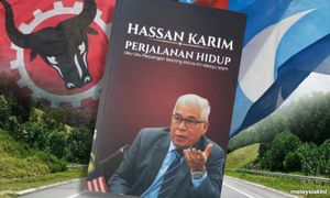 ULASAN | Naik turun anak Pontian ke Dewan Rakyat