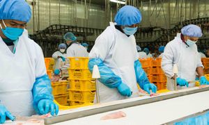 ULASAN | Industri halal bawa manfaat ekonomi