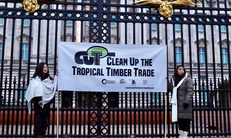 Deforestation: S'wak indigenous communities turn to King Charles 