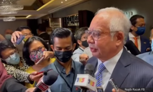 忧巫统内部会更分裂，纳吉反对大选前办党选