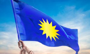 As frustration with BN grows, MCA leaders urge party to chart own path