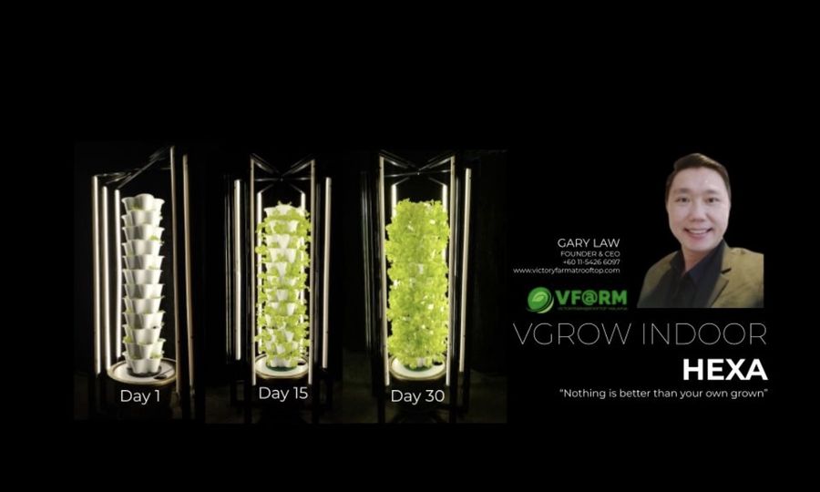 Sowing the Seeds of Sustainability: VF@RM Engineers A Revolution in Sustainable Farming Practices