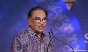 'Tebang satu pokok, wajib tanam 100 pokok baru'