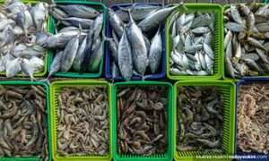 Eksport makanan laut Jepun turun 30% lepas pelepasan sisa nuklear