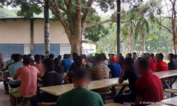 COMMENT | Contract fraud: Heads must roll, go after insidious agents 