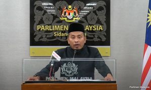 MP questions if taxpayers could end up bailing out AirAsia