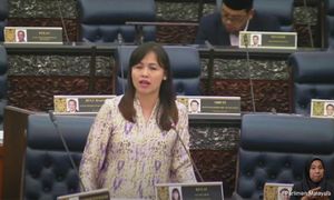 张念群：通讯及多媒体法修正案下季国会提呈