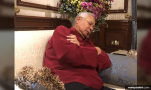COMMENT | House arrest for quinoa rice and nightly snuggles