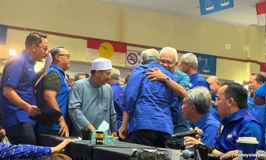 'Perpaduan Melayu' melemaskan Bersatu, melonjak Berjasa di Nilai